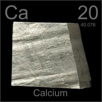 Calcium Supplements