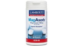 Lamberts MagAsorb 60 tablets