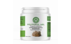 Mycology Research Polyporus-MRL 250g Powder